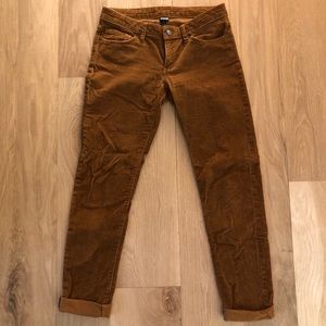 Patagonia fitted corduroy pants
